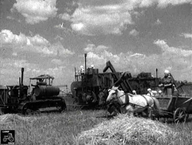 "Хоронили по частям". Подвиг гражданских девушек на разминировании 1944-46 г.