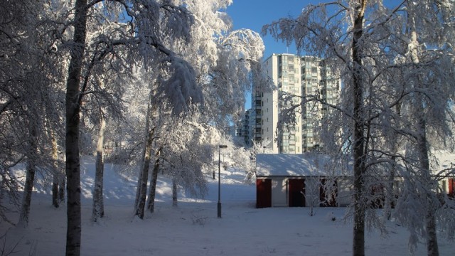 Немного зимних фото