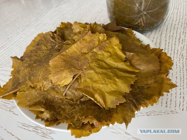 Долма с грибами