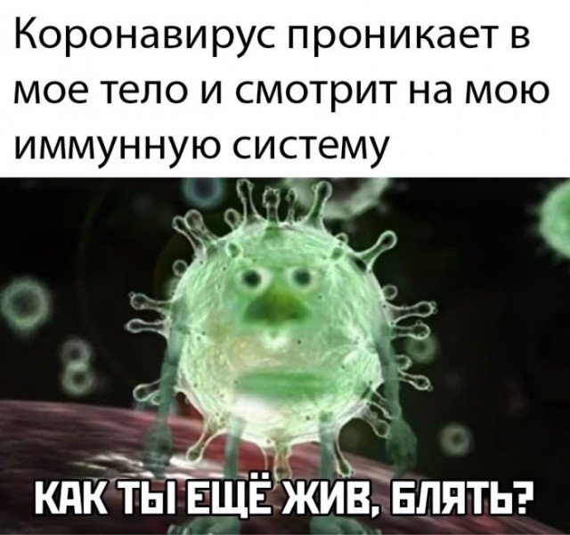 Немного картинок для настроения 01.04.20