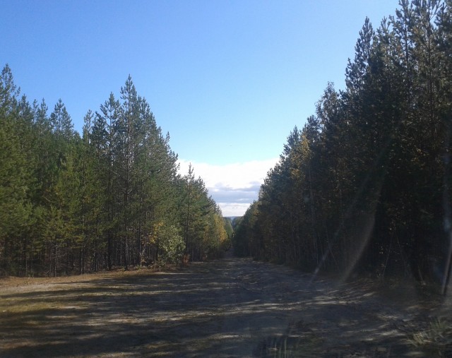 Где-то на Урале лес заменяет людям небо