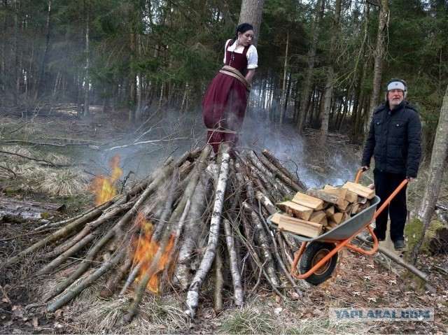 Дровишки в баню или "Гоблин" Пучков попал на фотожабу