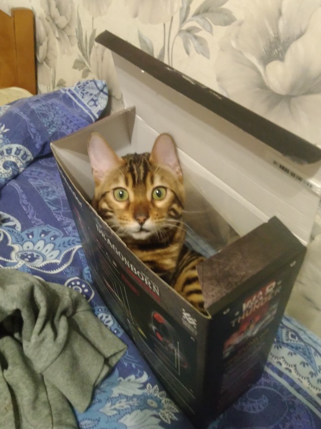 Моя красотка