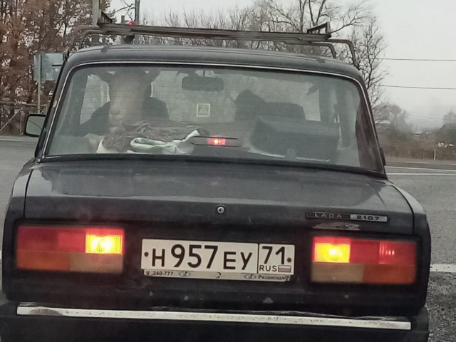Бур короля Артура