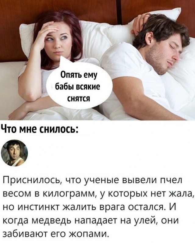Боянистые картинки 19.12.20