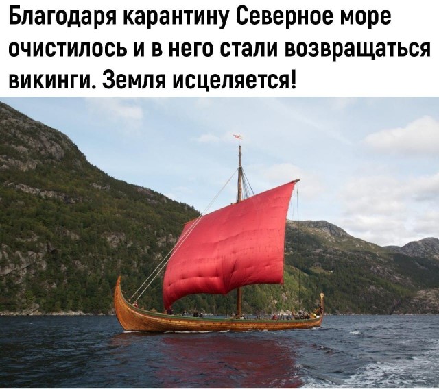 Эй вы, давно не деградировали?!