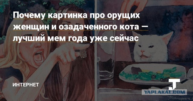 Мадам и месье бонжур