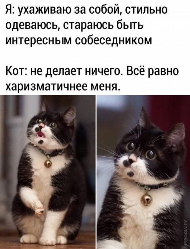 Картинки и мемы для настроения 31.03.2021