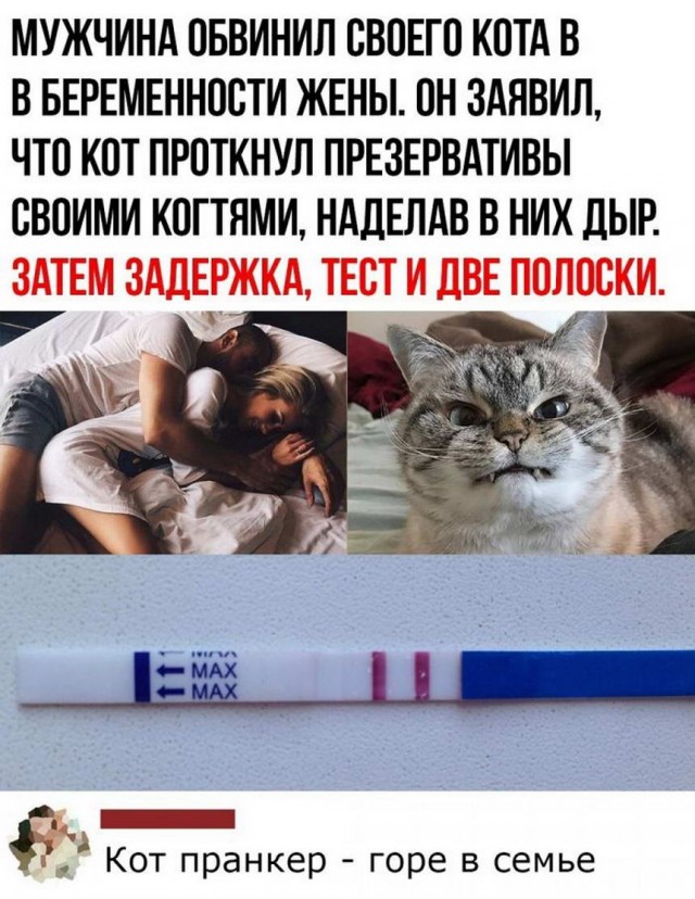 Картинки и мемы для настроения 08.06.2021
