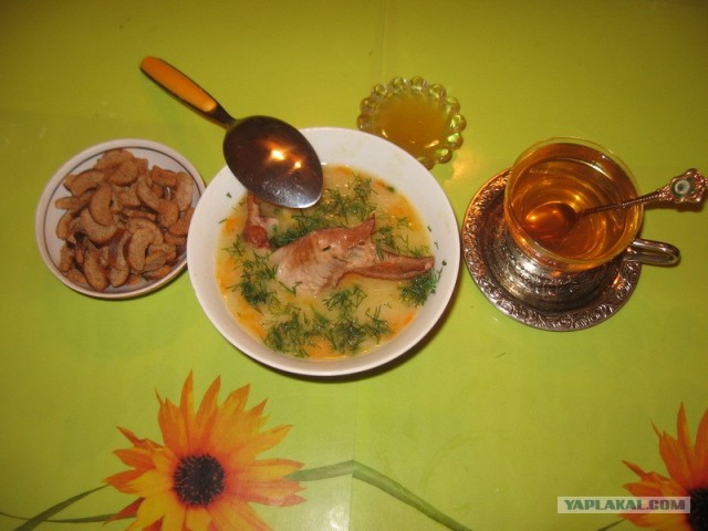 Ноги, хвосты… главное – крылья!, Кура-International–2, куриные крылья