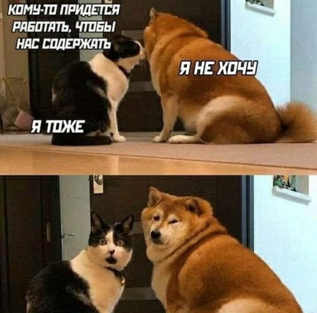 Так себе картинки 31.10.21