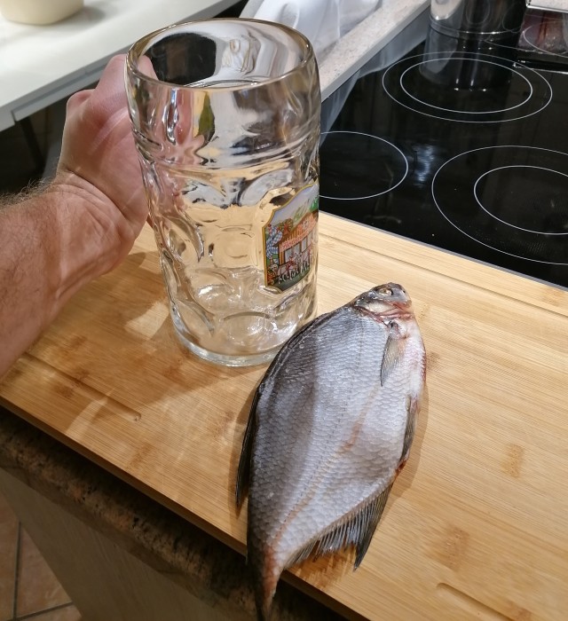Пивная кружка