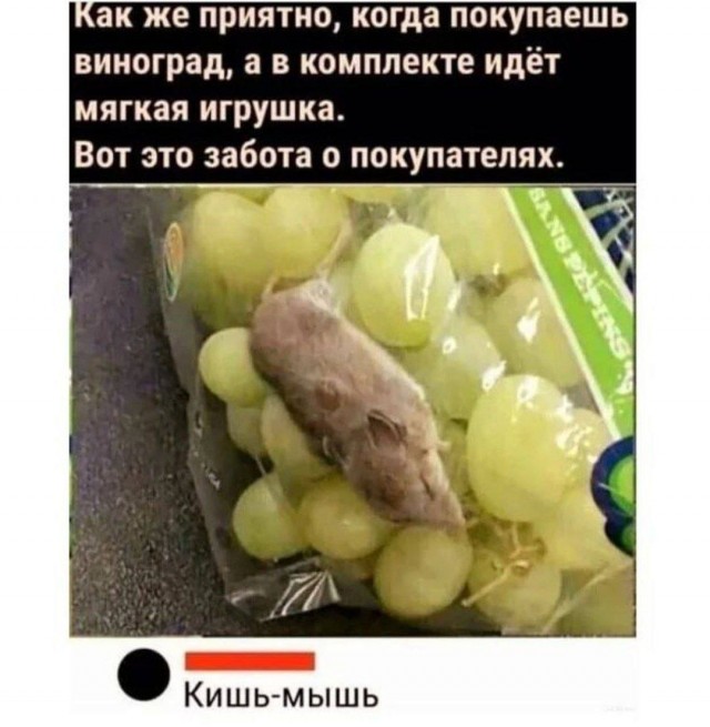 Картинки всякие и аморальные - 14