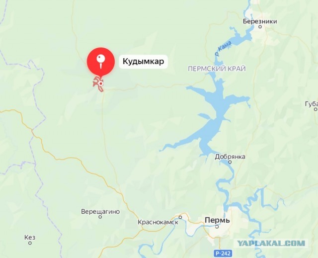 Всякие картинки,  но больше куаркодная и политота