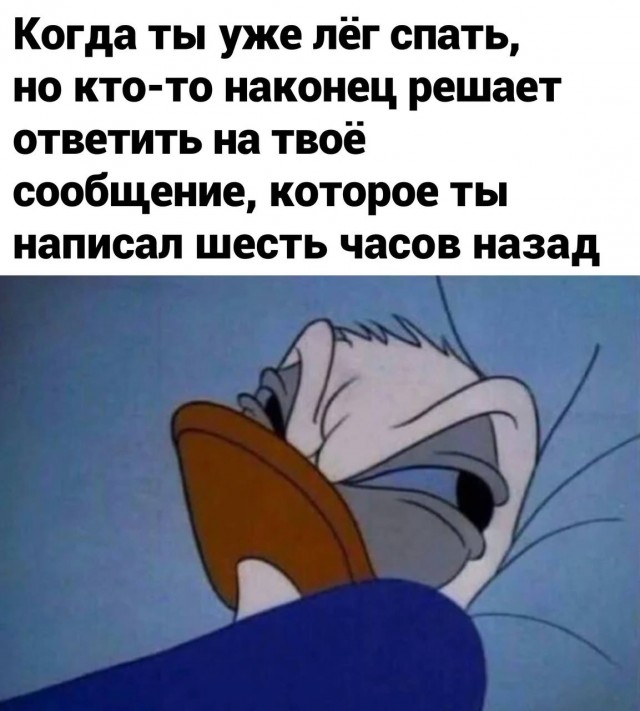 Всяческие картинки 02.02.2022