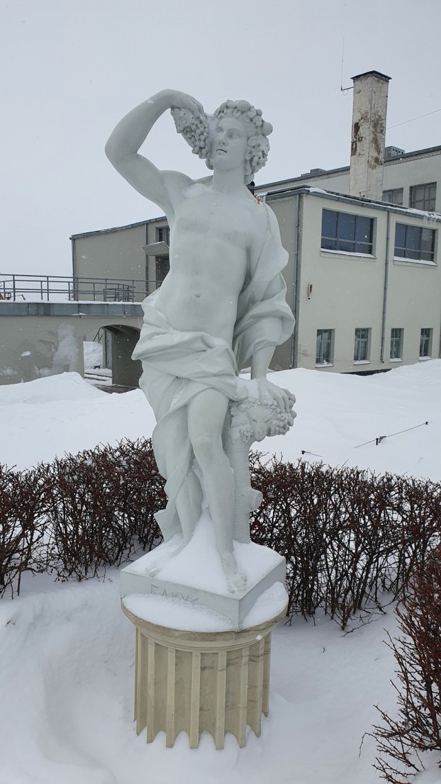 Выборг зимой