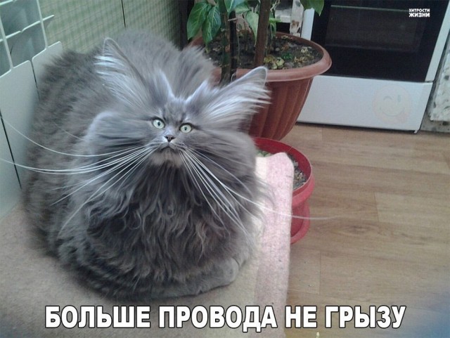 Дебильный вопрос про электричество…