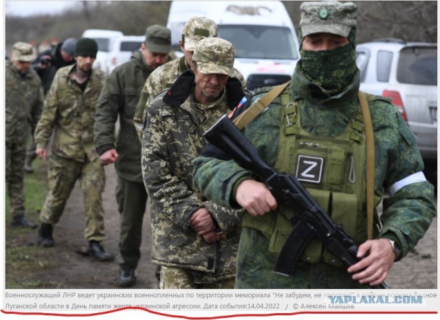 На Азовстали наловили натовцев