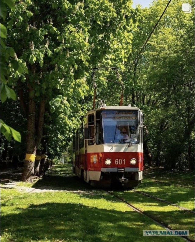 Калининград – любовь с первой прогулки…