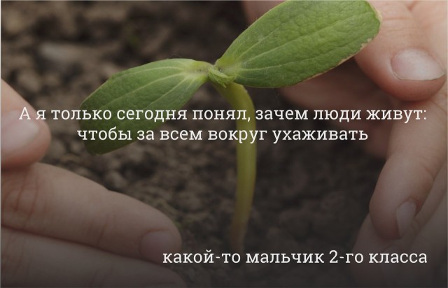 Мало картинок