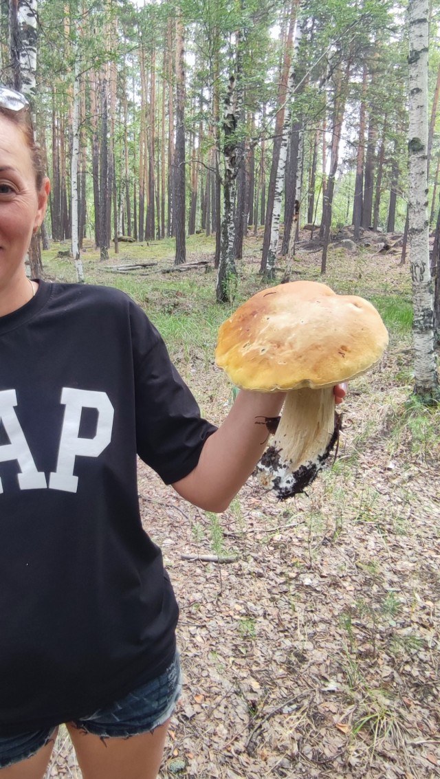 Рыжий год