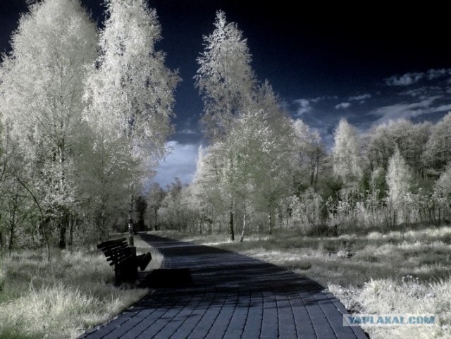 Я просто люблю Беларусь :)