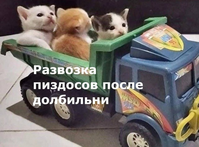 Немного мемчиков. Для взрослых. Часть 14