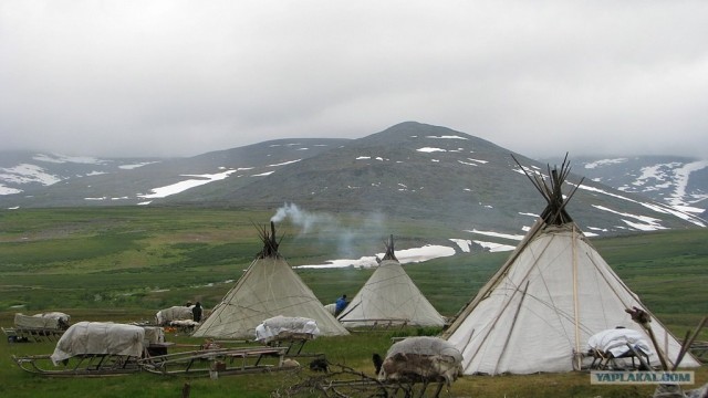 Полярный Урал - 2011