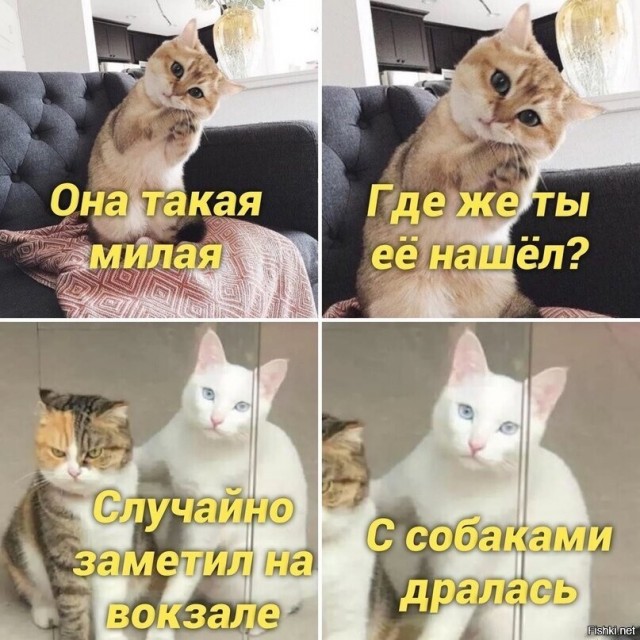 Так себе картинки 10.10.22