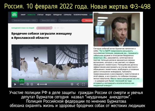 Депутат Бурматов призвал привлечь к ответственности власти Оренбурга, где собаки загрызли мальчика