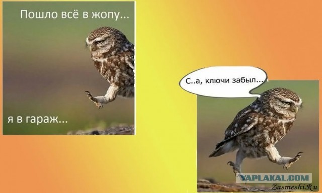 Муж обустроил гараж и теперь пропадает в нем целыми днями