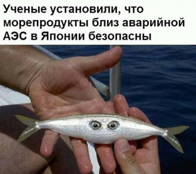 Забавные комментарии из социальных сетей (17.07.23)