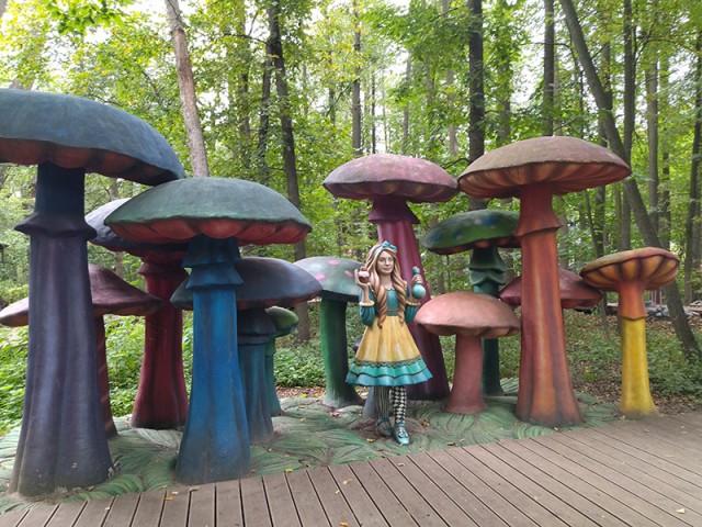 Волшебная страна