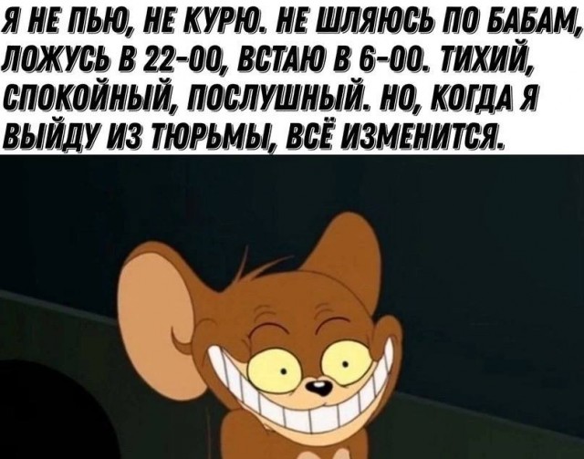 Весёлый полтишок 01.11.23