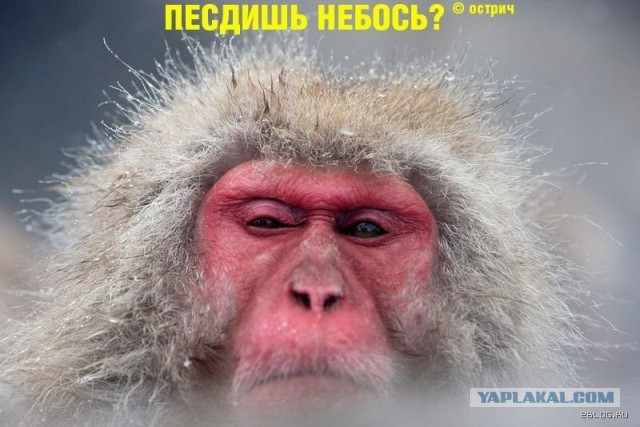 Глобальное потепление добралось до Норвегии