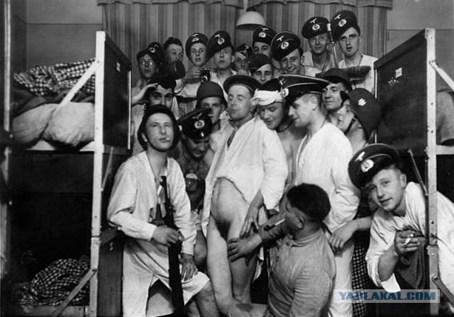 Кто воевал на стороне Гитлера