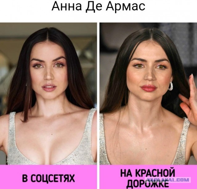 Такие разные звезды