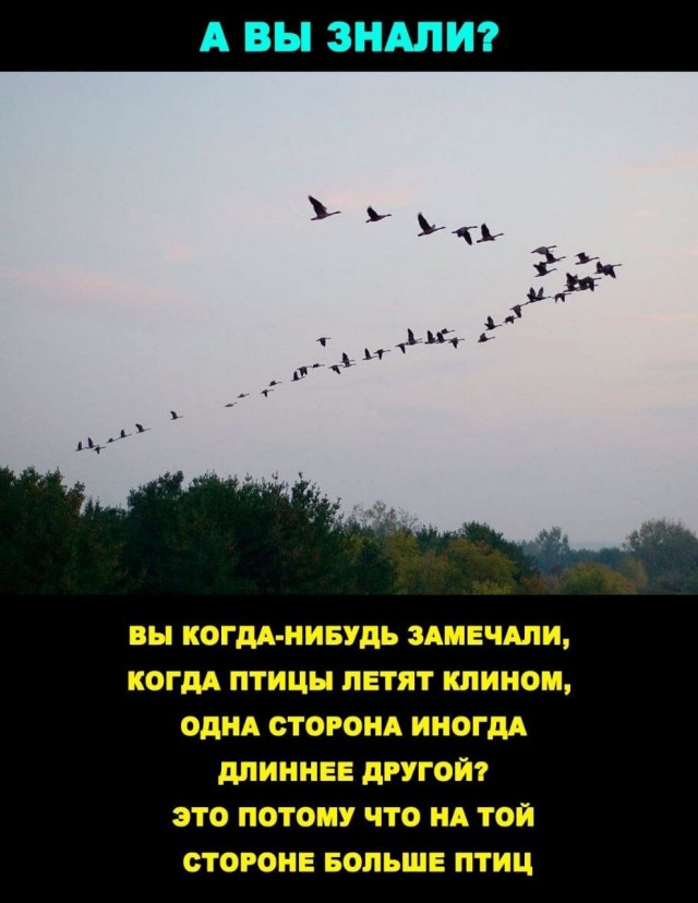 Нуштош 30.04.2024