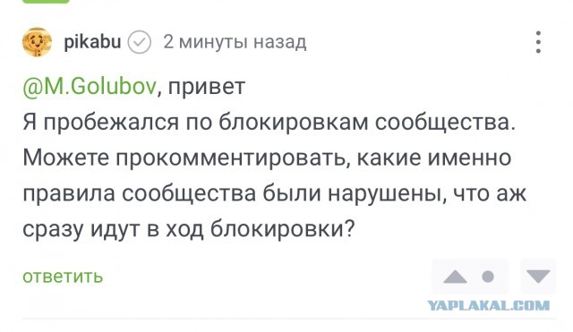 Голубов, бросай Пахачи и в Питер