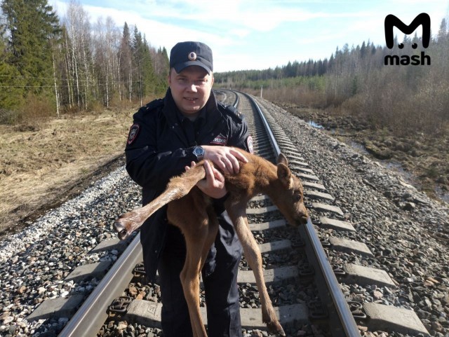 Участковый молодец!