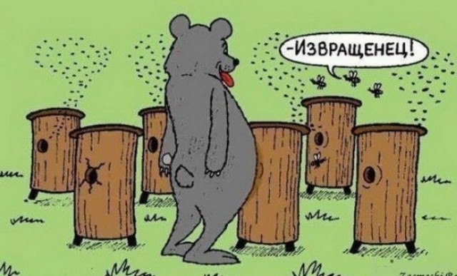Картинки разные с надписями и без