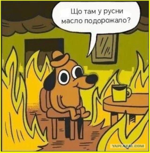 Сливочное масло рекордно подорожало в России из-за того, что россияне стали больше зарабатывать