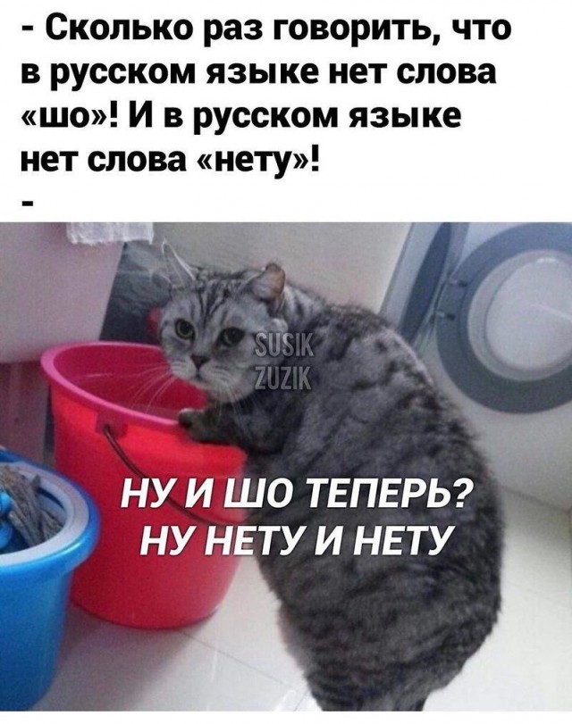 Картинки для...