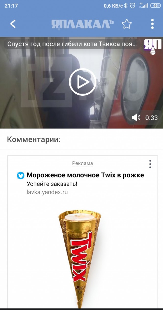 Спустя год после гибели кота Твикса появилось видео, на котором его высаживают из вагона