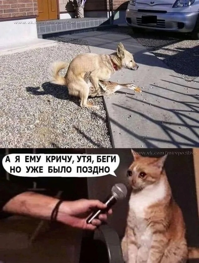 Завалялось тут случайно немного забавных картинок