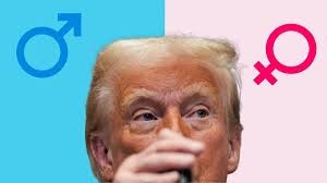 Минздрав США утвердил указ Трампа о восстановлении «биологической правды». Теперь Штаты признают лишь мужской и женский пол