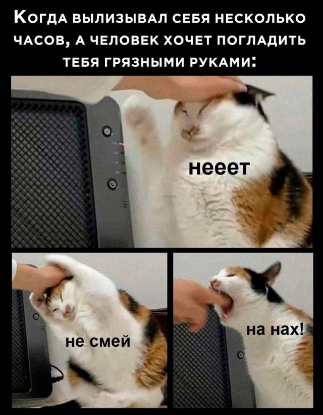 Так себе картинки 29.03.25