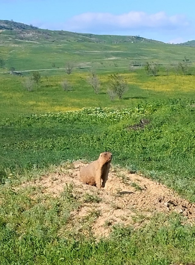 Литературная беседка v.1