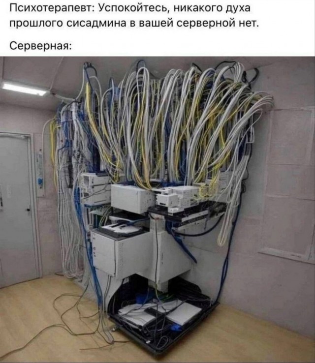 Десятка фото