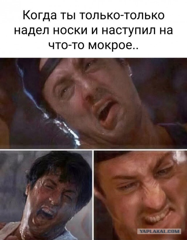 Картинки для деградации 3 (разной степени свежести)